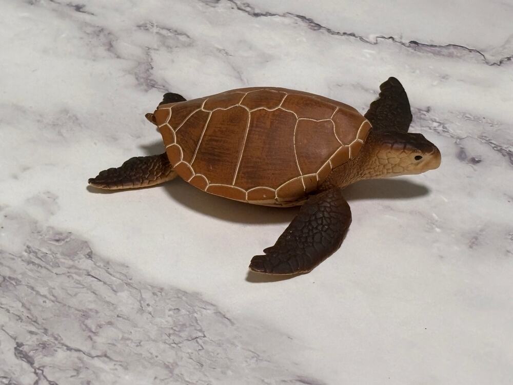 Safari Ltd Incredible Creatures Green Brown Sea Turtle Animal Wildlife 2017